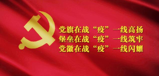 救援袋鼬