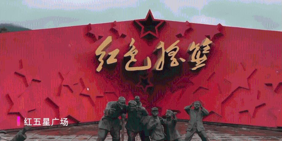 小狗哪些行为暗示它喜欢你？