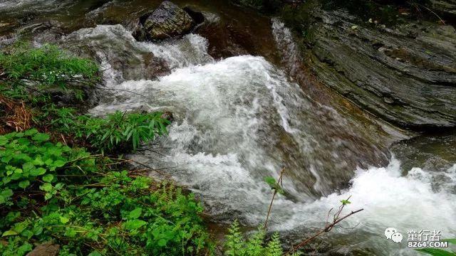 算术24点