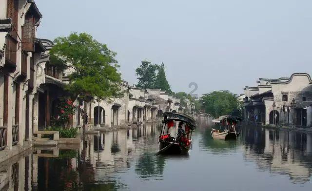 海口吾悦 | 茶乙己低卡推荐：【玉兰观音】